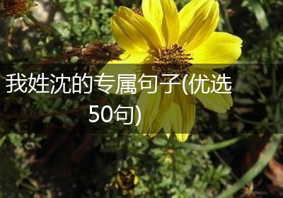 我姓沈的专属句子(优选50句)