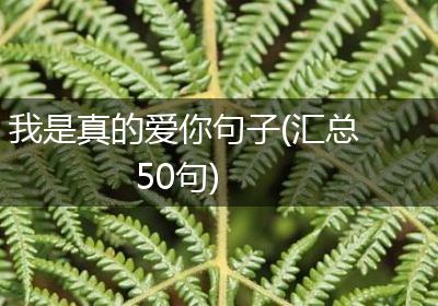 我是真的爱你句子(汇总50句)