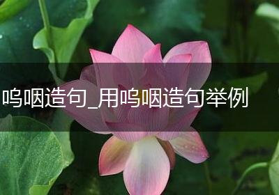 呜咽造句_用呜咽造句举例