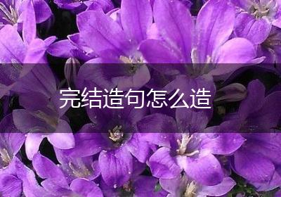 完结造句怎么造