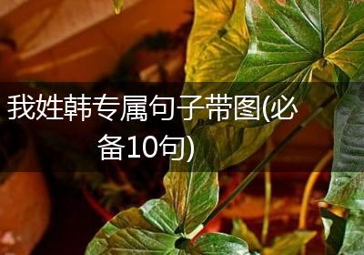 我姓韩专属句子带图(必备10句)