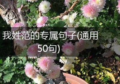 我姓范的专属句子(通用50句)