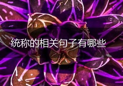统称的相关句子有哪些