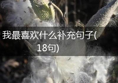 我最喜欢什么补充句子(18句)