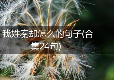 我姓秦却怎么的句子(合集24句)