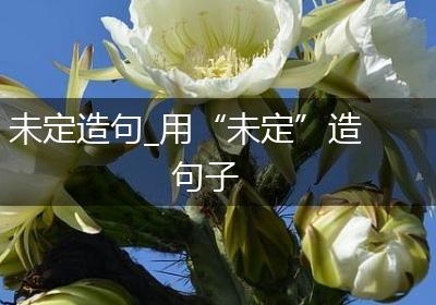 未定造句_用“未定”造句子