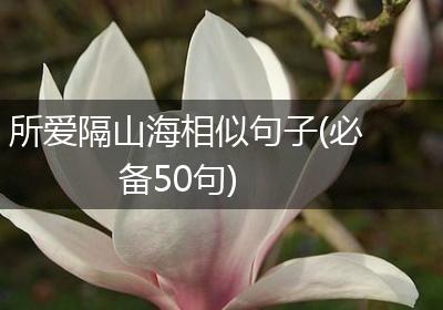 所爱隔山海相似句子(必备50句)
