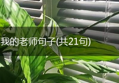 我的老师句子(共21句)