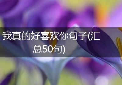 我真的好喜欢你句子(汇总50句)