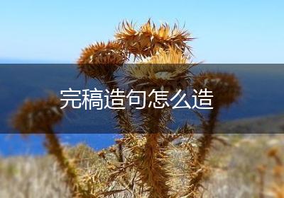 完稿造句怎么造