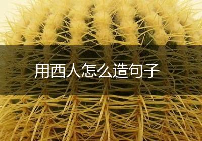 用西人怎么造句子