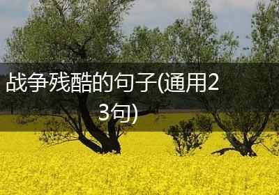 战争残酷的句子(通用23句)