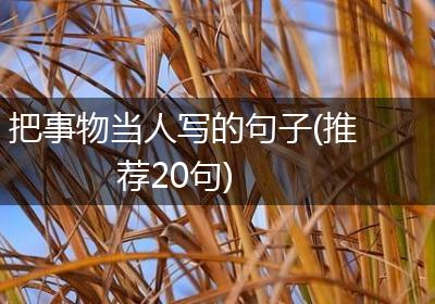 把事物当人写的句子(推荐20句)