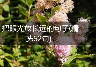 把眼光放长远的句子(精选62句)