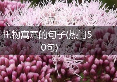 托物寓意的句子(热门50句)
