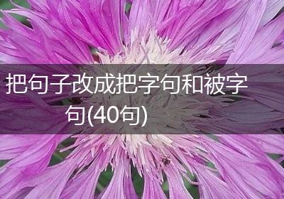 把句子改成把字句和被字句(40句)