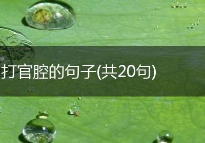 打官腔的句子(共20句)