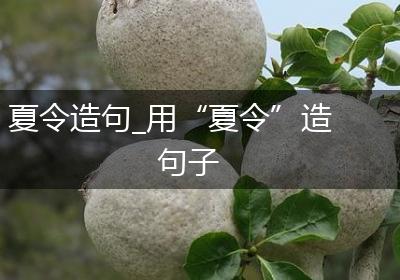 夏令造句_用“夏令”造句子