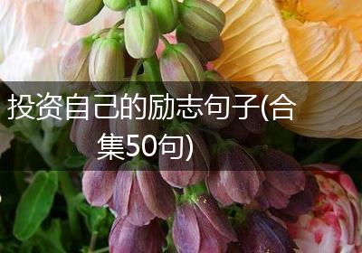 投资自己的励志句子(合集50句)