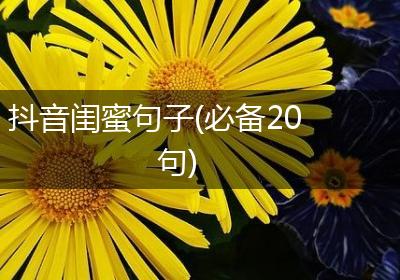 抖音闺蜜句子(必备20句)