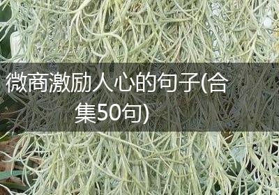 微商激励人心的句子(合集50句)