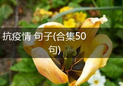 抗疫情 句子(合集50句)