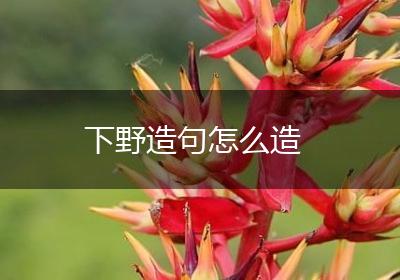 下野造句怎么造