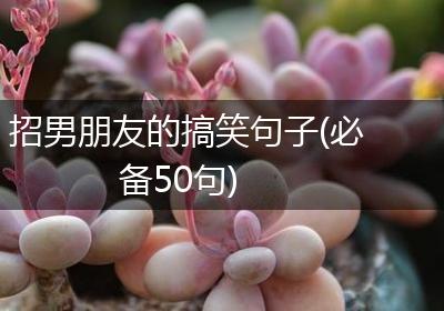 招男朋友的搞笑句子(必备50句)