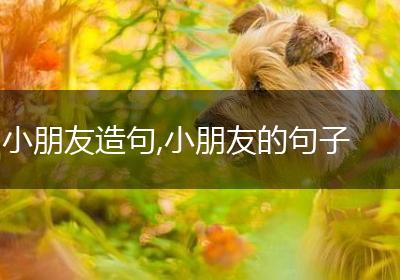 小朋友造句,小朋友的句子