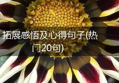 拓展感悟及心得句子(热门20句)