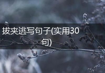 拔夹逃写句子(实用30句)
