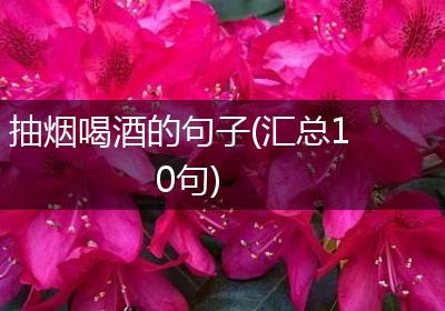 抽烟喝酒的句子(汇总10句)