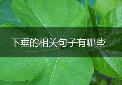 下垂的相关句子有哪些