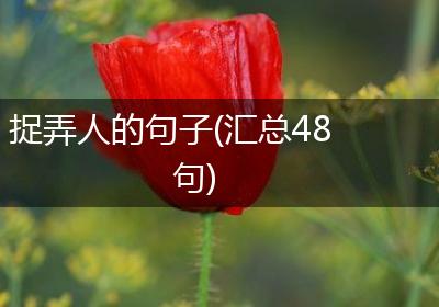 捉弄人的句子(汇总48句)