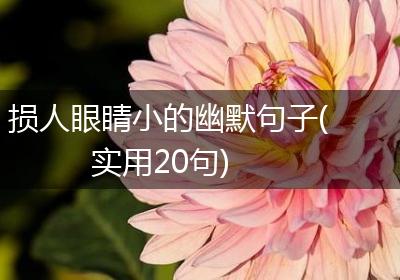 损人眼睛小的幽默句子(实用20句)