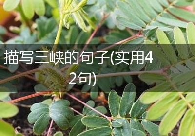 描写三峡的句子(实用42句)