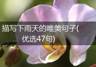 描写下雨天的唯美句子(优选47句)