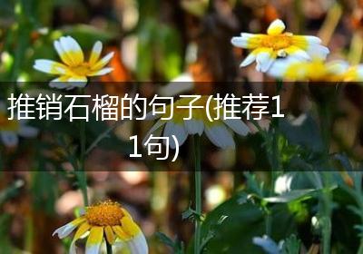 推销石榴的句子(推荐11句)
