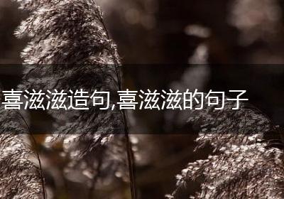 喜滋滋造句,喜滋滋的句子