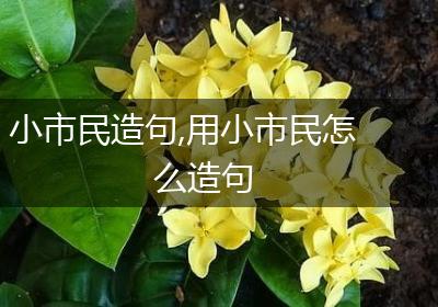 小市民造句,用小市民怎么造句