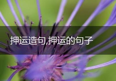 押运造句,押运的句子