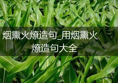 烟熏火燎造句_用烟熏火燎造句大全