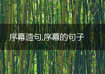 序幕造句,序幕的句子