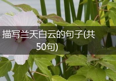 描写兰天白云的句子(共50句)