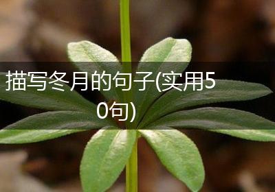 描写冬月的句子(实用50句)