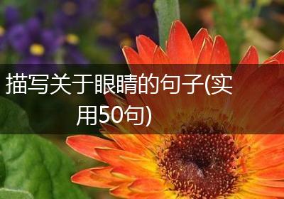 描写关于眼睛的句子(实用50句)
