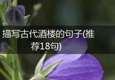 描写古代酒楼的句子(推荐18句)