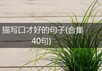 描写口才好的句子(合集40句)