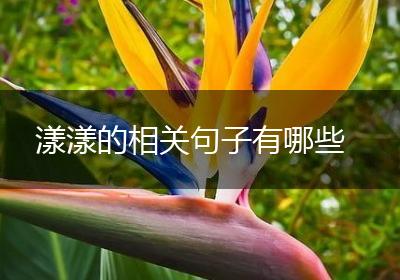 漾漾的相关句子有哪些