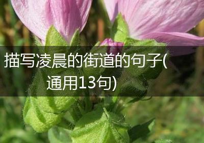 描写凌晨的街道的句子(通用13句)